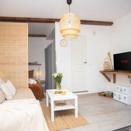 Le Boheme, Cosy, Hypercentre Apartamento Grenoble Exterior foto