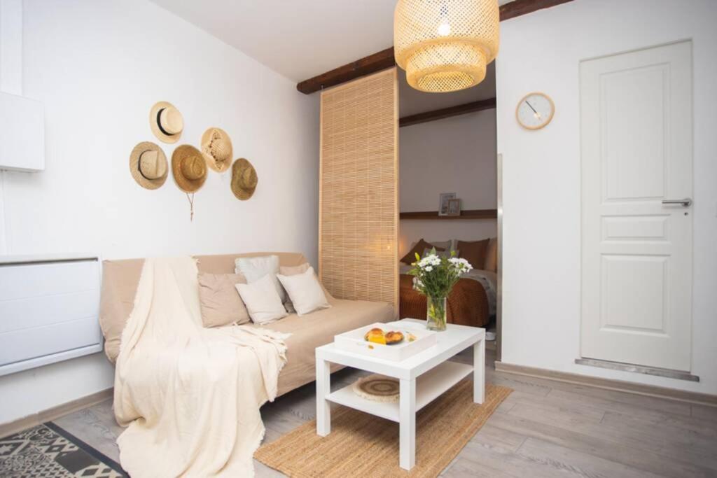 Le Boheme, Cosy, Hypercentre Apartamento Grenoble Exterior foto