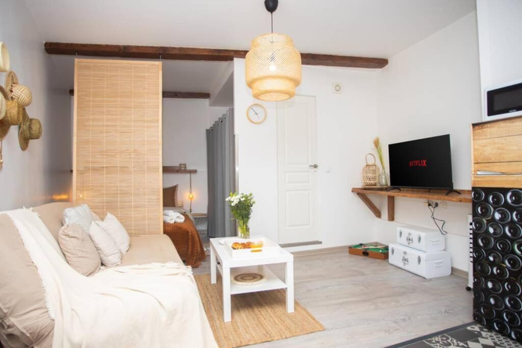 Le Boheme, Cosy, Hypercentre Apartamento Grenoble Exterior foto